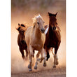 Charger l'image dans la galerie, Running Horses - 1000 pièces