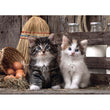 Charger l'image dans la galerie, Lovely kittens - 1000 pièces