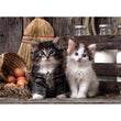 Charger l'image dans la galerie, Lovely Kittens - 1000 pièces