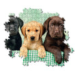 Charger l'image dans la galerie, Three Labrador - 1000 pièces