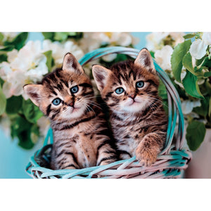 Lovely Kitty Twins - 60 pièces