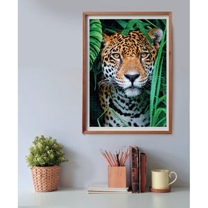 Jaguar In The Jungle - 500 pièces