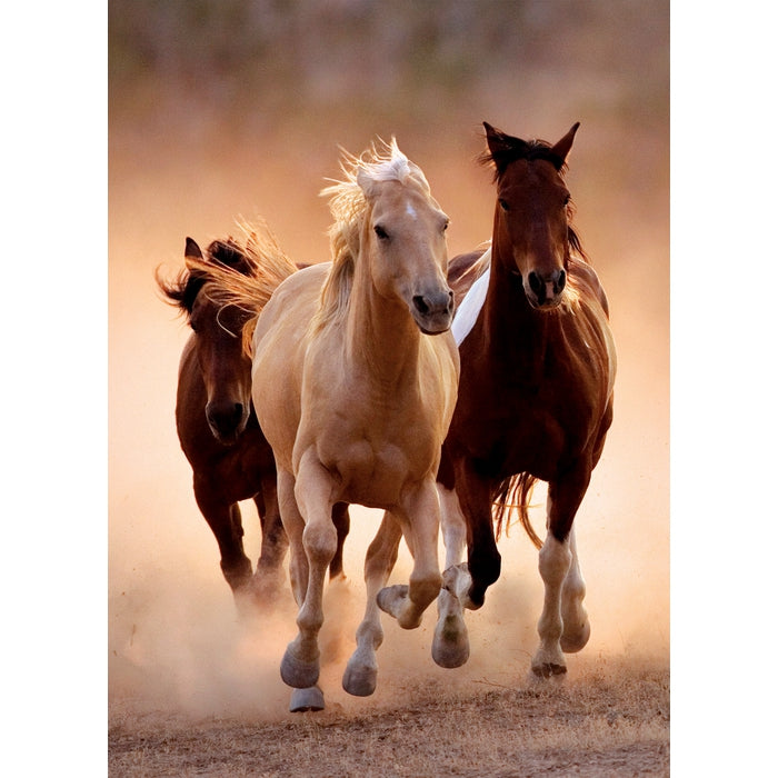 Running Horses - 1000 pièces